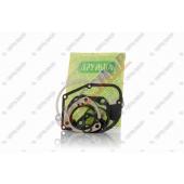 Прокладки к-кт пилки Дружба